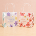 PVC Printed Translucent Gift Bag with Pipe Handle – Premium Reusable Gift Packaging Bag - Large (Mix designs)
