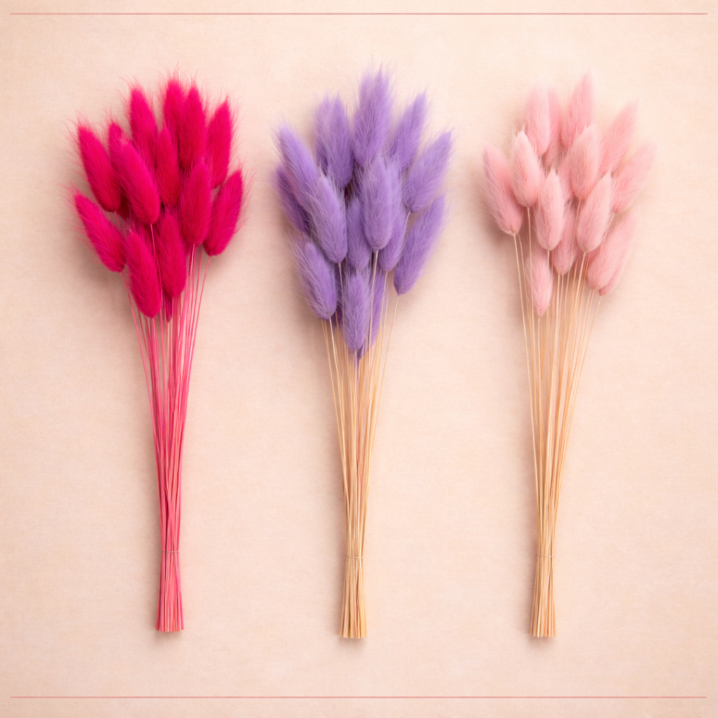 Decorative Bunny Tail Dried Grass Stems for Bouquet Decoration